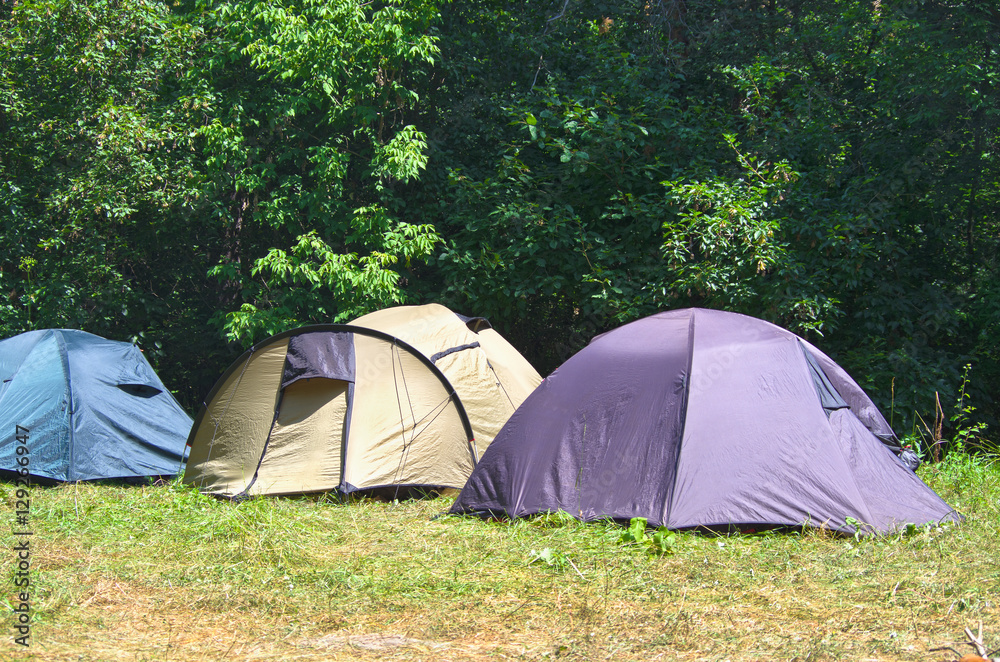 Tourist tents are standing in a row on the summer glade in the forest on sunny day; Necessary equipment for hiking; Holiday away from city bustle
