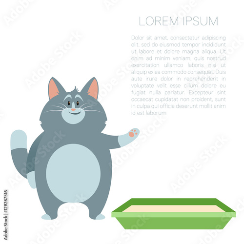 Happy Cat and its litter2