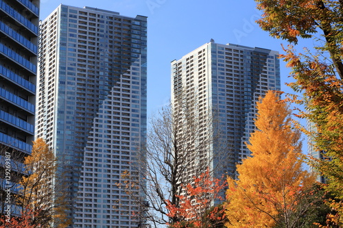 秋の公園と高層マンション群 © isami