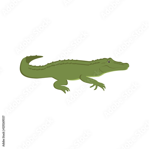 Green crocodile vector © viktorijareut