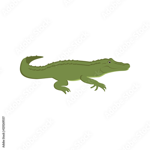 Green crocodile vector