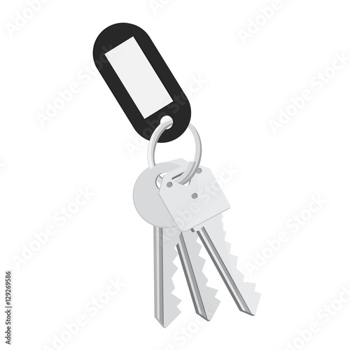 Blank tag and keys