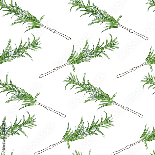Seamless pattern with rosemary