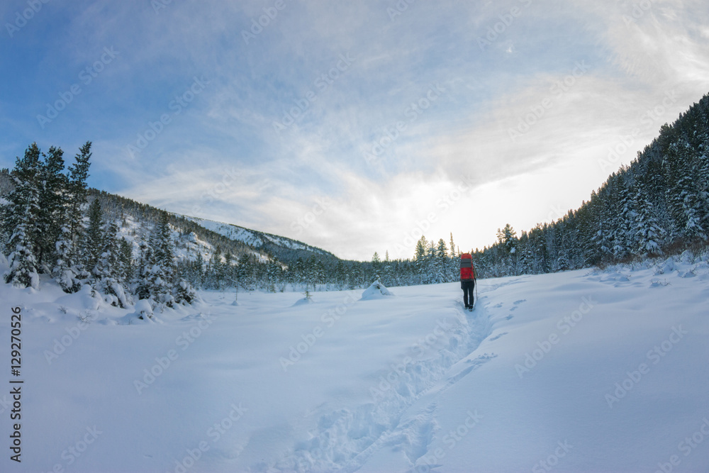 Girl backpacker walking on a forest road in the winter forest in Girl backpacker walking on a forest road in the winter forest in