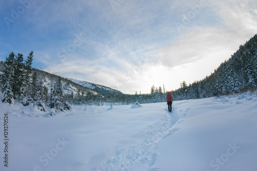 Girl backpacker walking on a forest road in the winter forest in