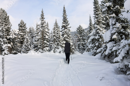 Girl backpacker walking on a forest road in the winter forest in © Baikal360