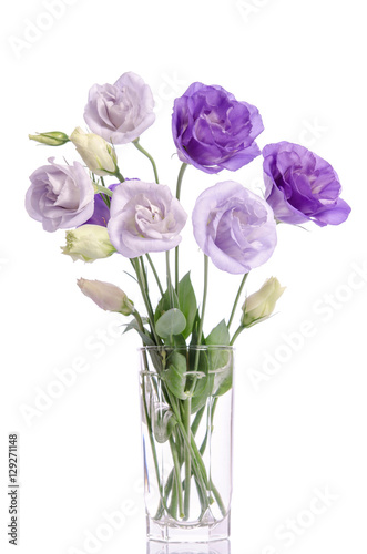 bunch of violet and white eustoma flowers in glass vase