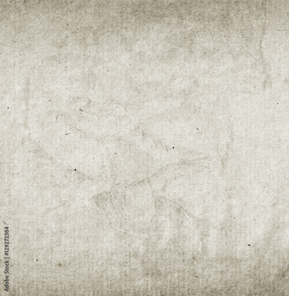Obraz premium Gray textured paper background.