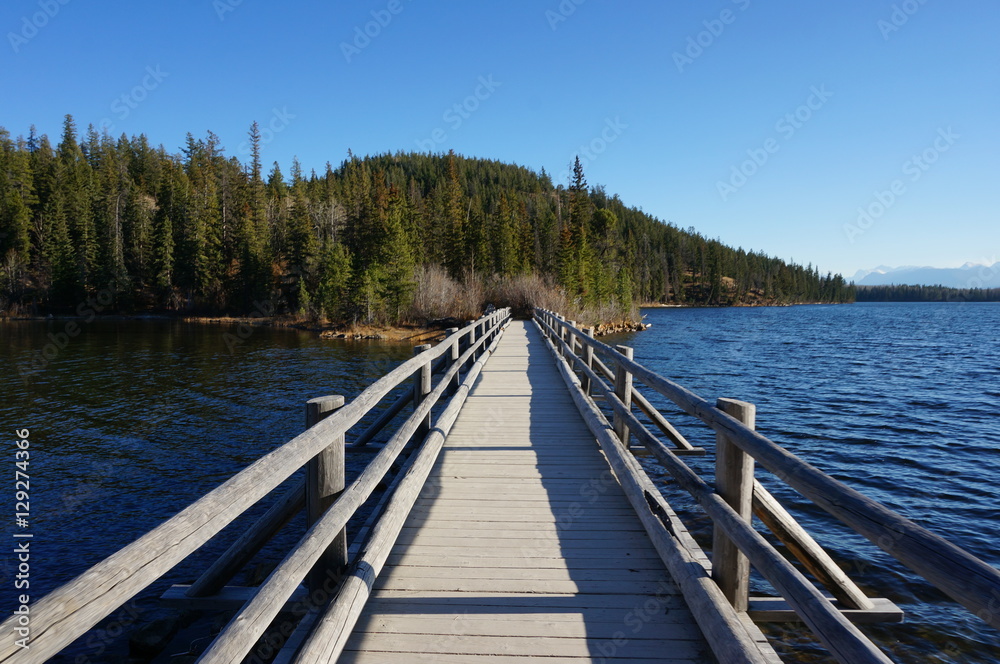 Obraz premium Bridge Wilderness