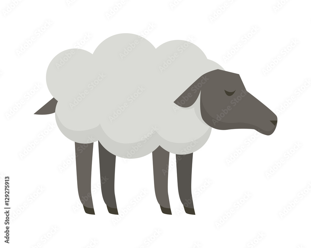 Fototapeta premium Sheep Flat Design Vector Illustration on White.