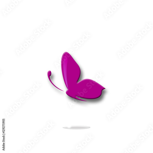 butterfly  logo  icon  symbol  beautiful