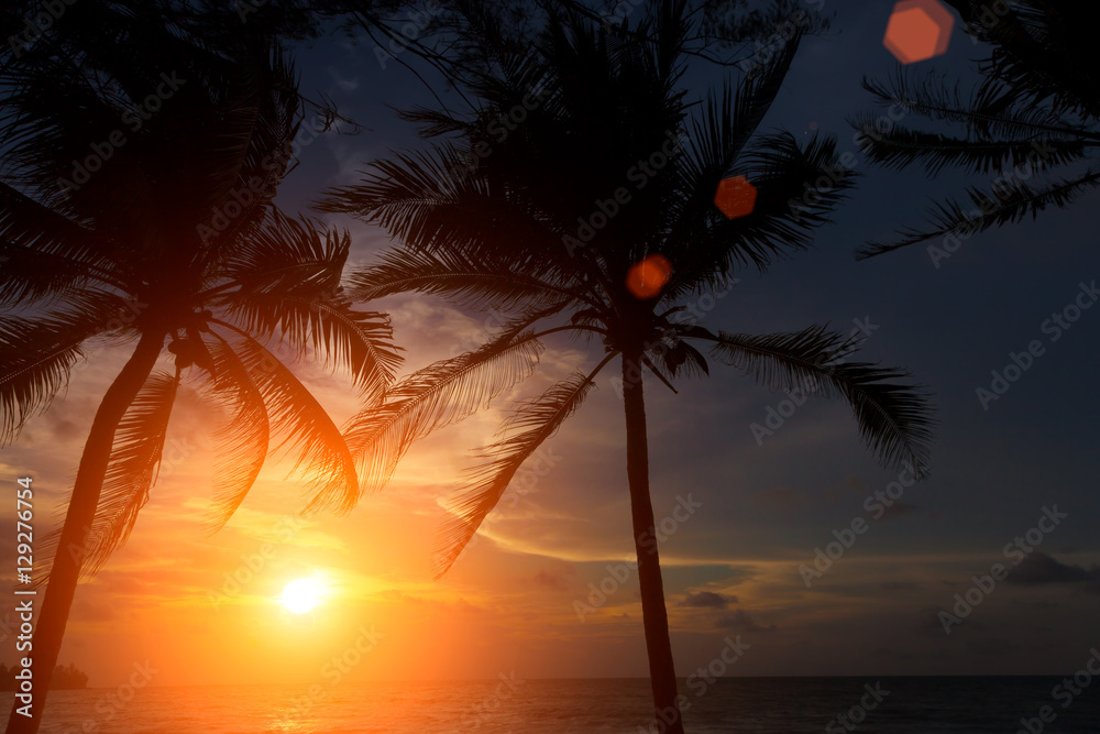 Fototapeta premium sunset on the beach