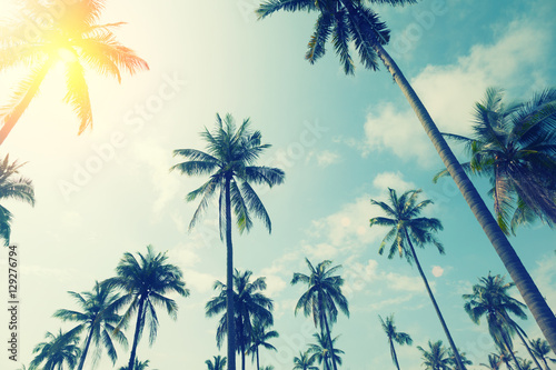 Fototapeta Naklejka Na Ścianę i Meble -  palm trees on a beautiful clouds