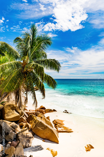 Amazing tropical beach