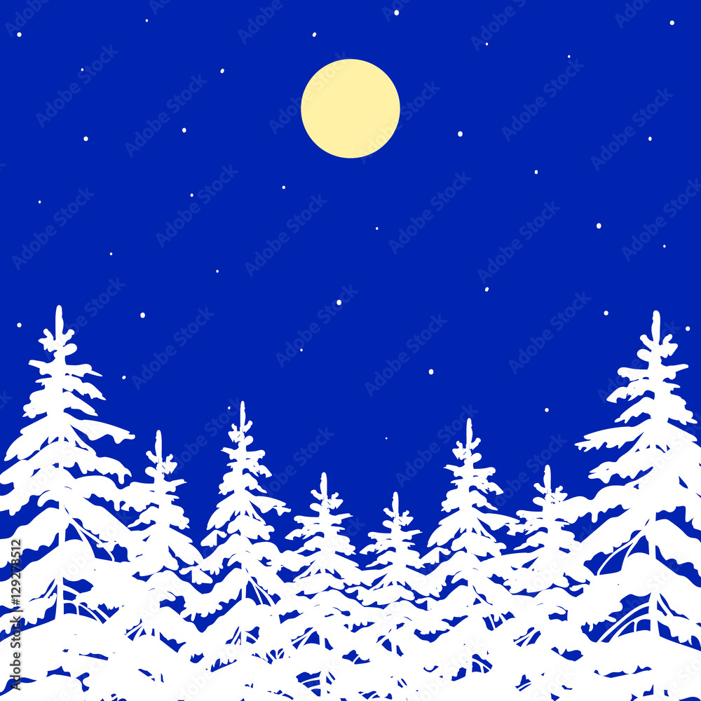 Fototapeta premium night winter forest