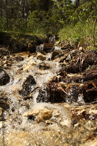 Wallpaper Mural Flowing River  Torontodigital.ca