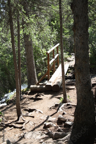 Wallpaper Mural Nature Trail Torontodigital.ca