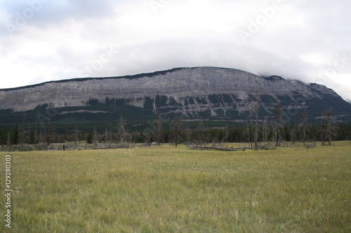 Wallpaper Mural Mountain Canada Wilderness Torontodigital.ca