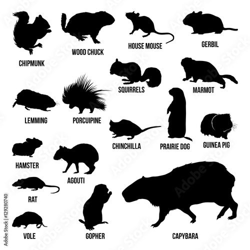 Silhouette of Squirrel Rat Mouse Chipmunk Capybara, Rodent Order