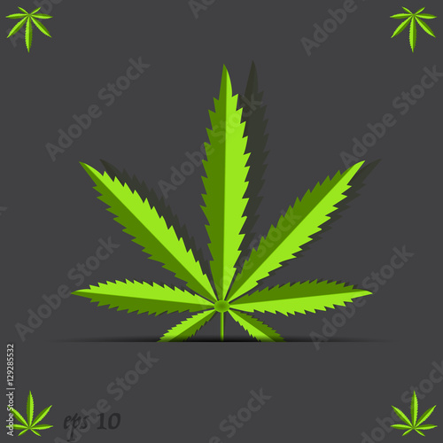 Marijuana leaf hemp