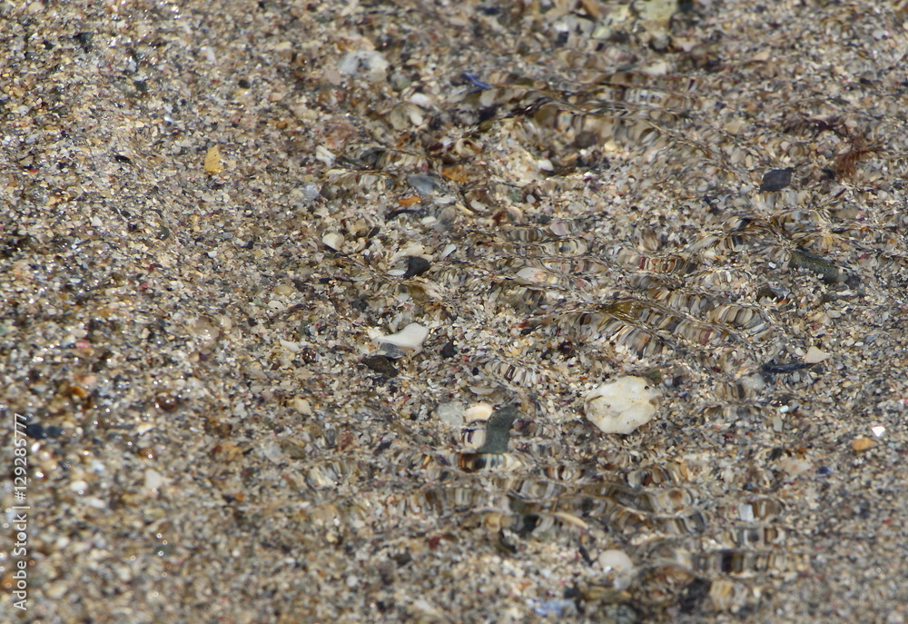 Eau qui coule sur du sable Eau qui coule sur du sable