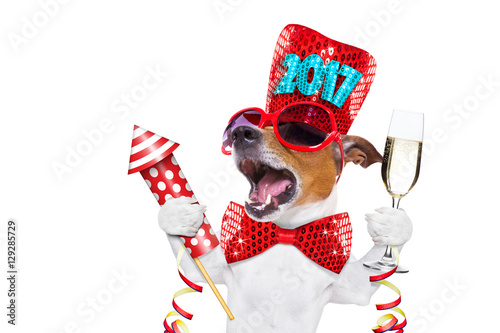 happy new year dog celberation © Javier brosch