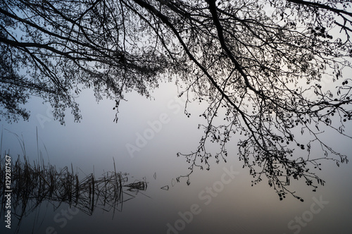 Magical sunrise over the lake framed by tree branches