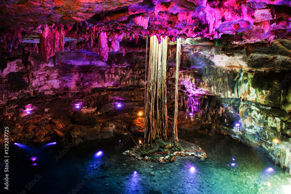 Nature in Mexico. Inside a sinkhole Cenote