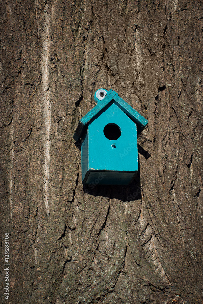 Bird house on wood bark background