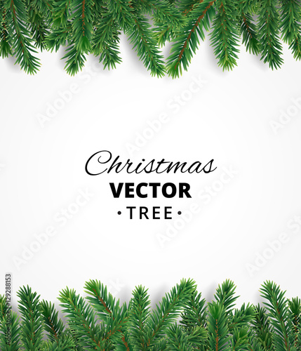 Background with vector christmas tree branches and space for text