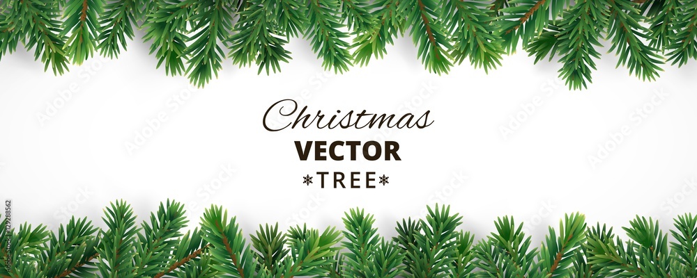 Fototapeta premium Sztandar z wektorowymi choinek gałąź i przestrzeń dla teksta.