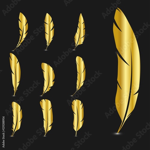 Set of gold feathers. Vector illustration.

