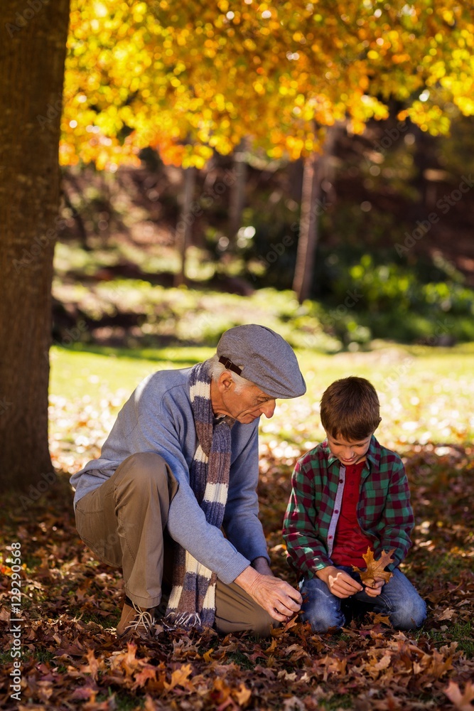 Grandfather and grandson playing with autumn leaves Grandfather and grandson playing with autumn leaves