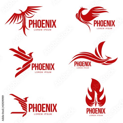 Set of stylized graphic phoenix bird logo templates, vector illustration isolated on white background. Collection of creative phoenix bird logotype templates, growth, development, power concept photo