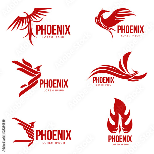 Set of stylized graphic phoenix bird logo templates, vector illustration isolated on white background. Collection of creative phoenix bird logotype templates, growth, development, power concept