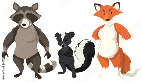 Three types of wild animals