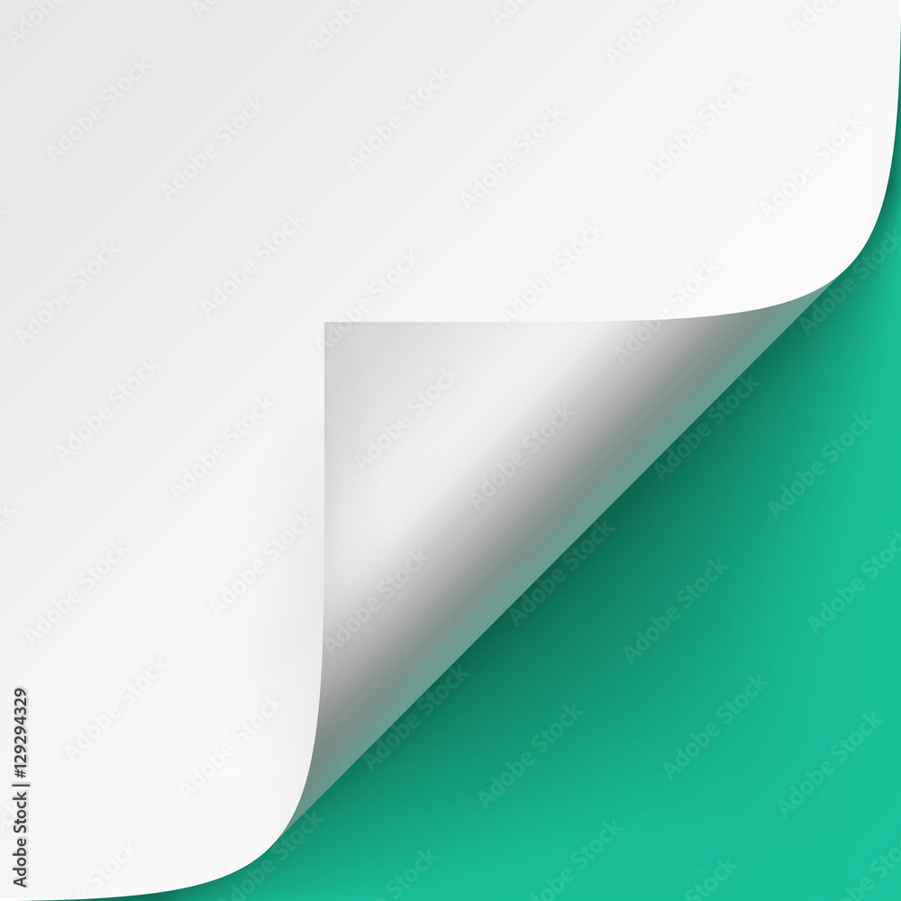 Vector Curled corner of White paper with shadow Mock up Isolated on Light Green Mint Background Vector Curled corner of White paper with shadow Mock up Isolated on Light Green Mint Background