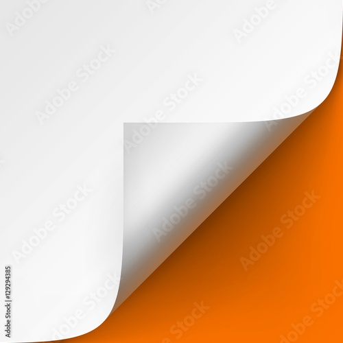 Curled corner of White paper with shadow Mock up Close up Isolated on Orange Background