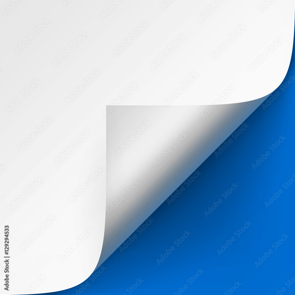 Curled corner of White paper with shadow Mock up Close up Isolated on Bright Blue Background