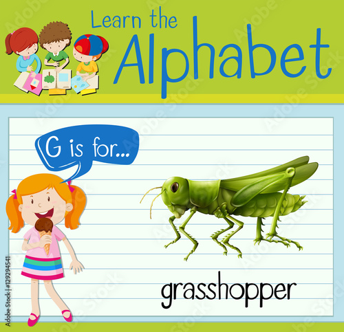 Flashcard letter G is for grasshopper