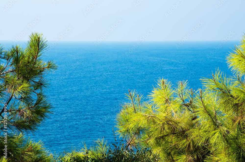Pine tree branches with turquoise sea background, mediterranean nature Pine tree branches with turquoise sea background, mediterranean nature