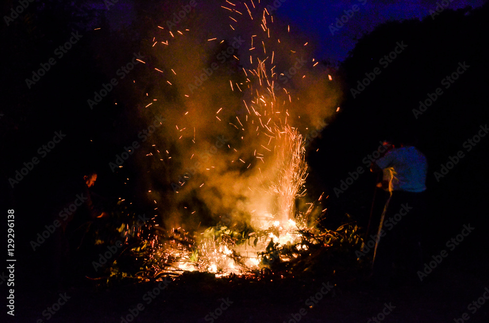Fototapeta premium Open flames burning dead branches and weeds