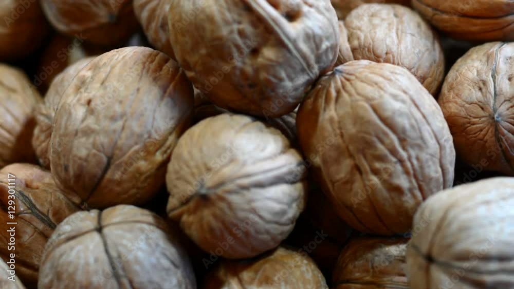 Fresh walnuts in shells, closeup macro pan. Fresh walnuts in shells, closeup macro pan.