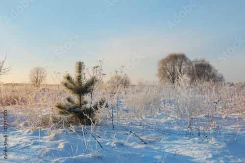 Wallpaper Mural Winter landscape in snow Torontodigital.ca