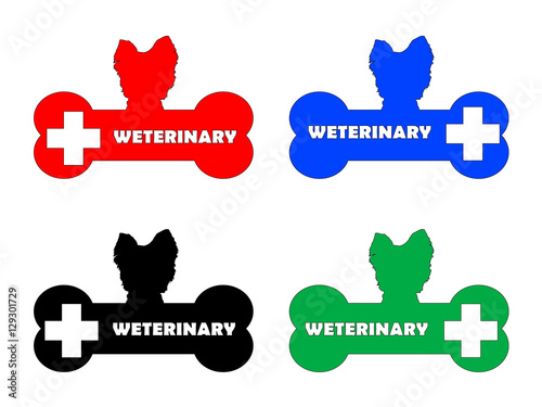 dog and a identity tags the veterinary clinic photo