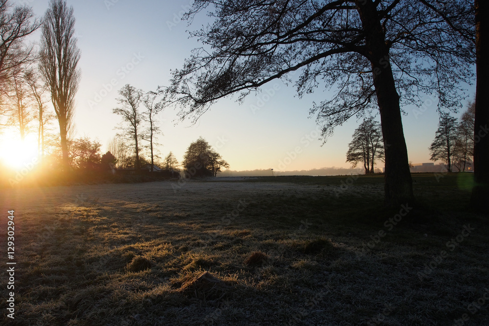 Frosty meadow at sunset in winter