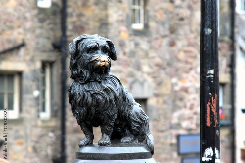 greyfriars bobby in edinburgh beloved dog and great friend photo
