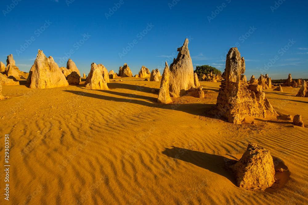 Lunar lanscape of the Pinnacles Desert at Nambung National Park, Western Australia, Australia