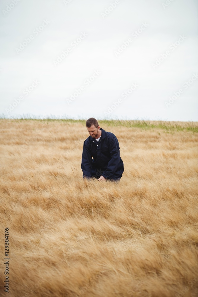 Farmer checking his crops in the field Farmer checking his crops in the field