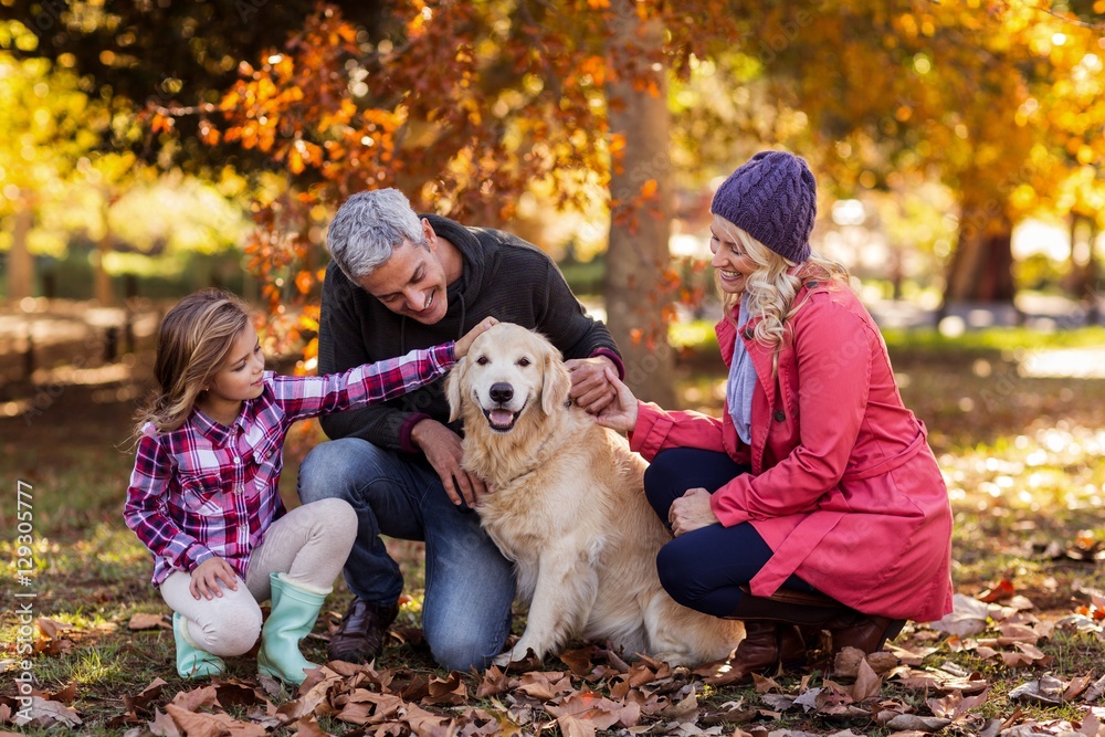 Family stroking dog while crouching at park Family stroking dog while crouching at park